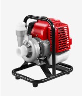 বাড়ির বাগানে সেচের জন্য কোন জলের পাম্প সবচেয়ে ভালো?