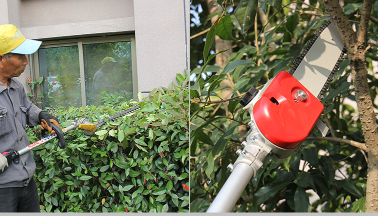 বাগান রক্ষণাবেক্ষণে হাতিয়ার কাটার দক্ষতা কী?