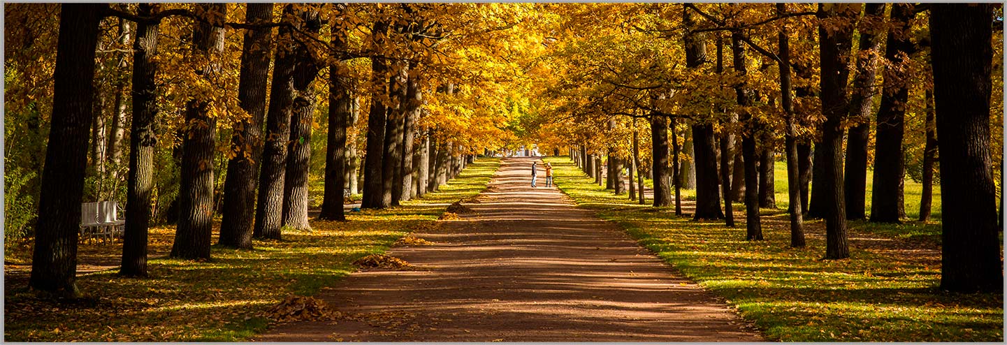 NINGBO AOSHENG মেশিন কো., LTD.